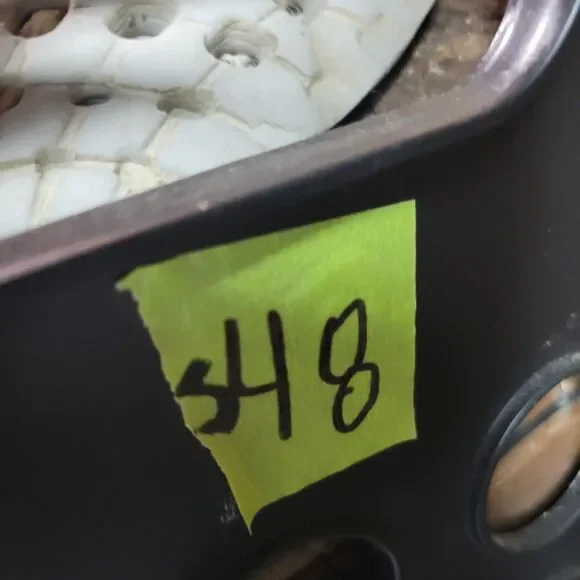 Vans Shoes Boys Size 11.5 Brown Lace Up Walking Low Top Man Made Comfort Sneaker - Picture 15 of 15